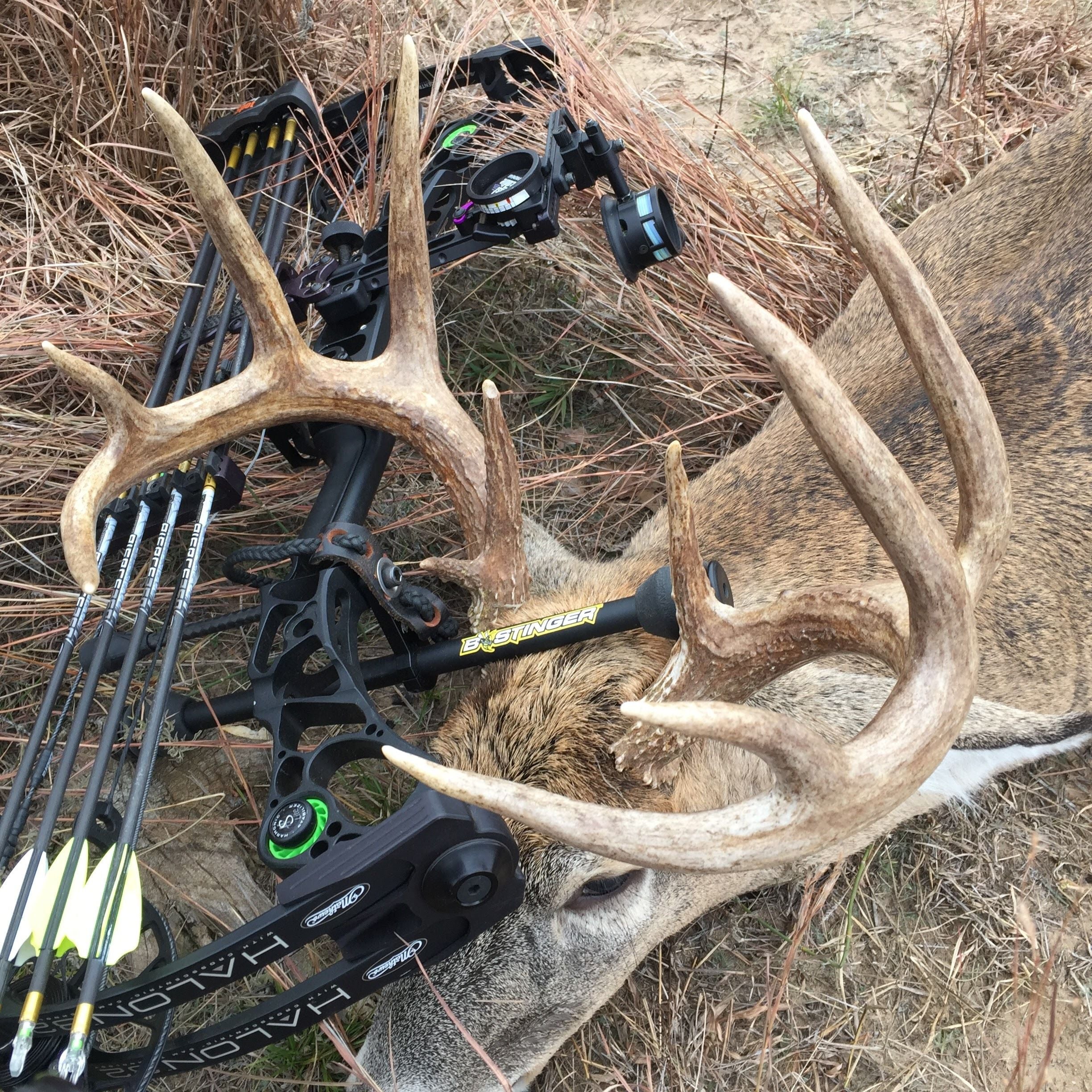 Sport Hunter Xtreme - Image 7